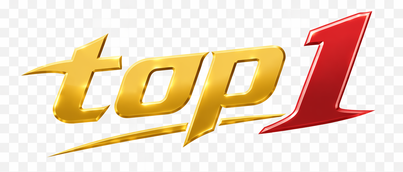 Top 1 Baji Logo